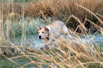 Eefje aus den Kristallhhlen 10.03.16-10