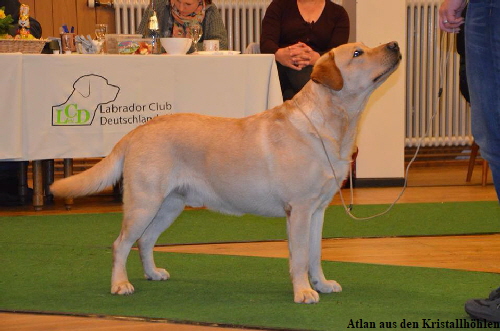 Atlan aus den kristallhhlen 22.03.2015 SRA Neustadt-Schneeren 