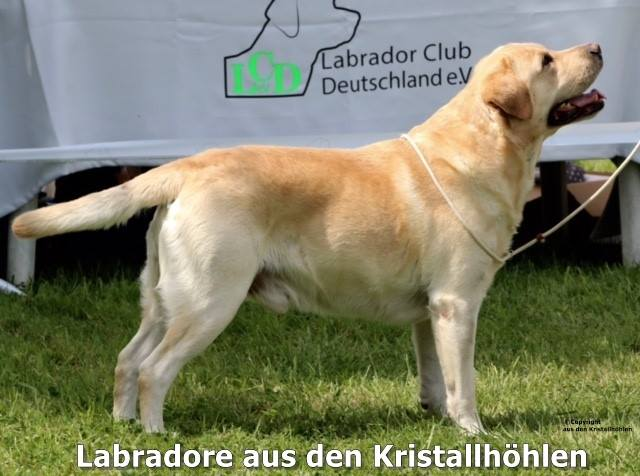 Atlan aus den Kristallhöhlen Campionklasse V1 Atlan aus den Kristallhöhlen Campionklasse V1