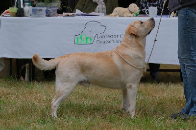 Gannicus aus den Kristallhhlen 2019 Sandylands-Rocheby-Poolstead