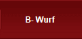 B- Wurf 