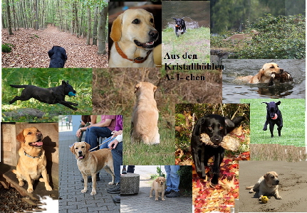 A-I-cen aus den Kristllhöhlen A-I-cen aus den Kristllhöhlen