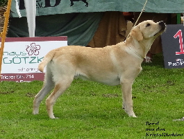 Beryl aus den Kristallhhlen 1.07.2012 Ausstellung LCD Stolberg