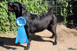 Emma Piel aus den Kristallhöhlen 2.Platz Emma Piel aus den Kristallhöhlen 2.Platz