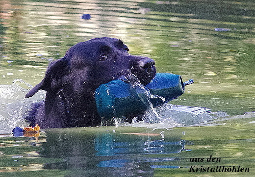 Labradorzucht aus den Kristallhhlen