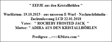 Eefje aus den Kristallhöhlen FCI