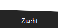 Zucht