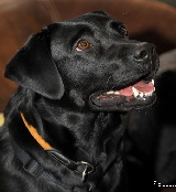 Adira aus den Kristallh�hlen