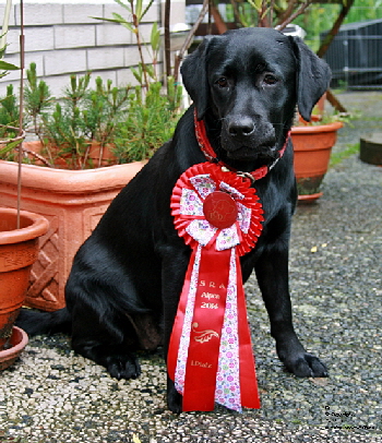 Clarissa aus den kristallhhlen 11.05.2014 SRA-LCD-Alpen 1.Platz 