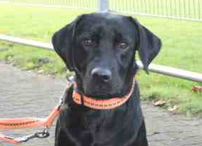 Arwen mit knapp 12 Monaten Arwen mit knapp 12 Monaten